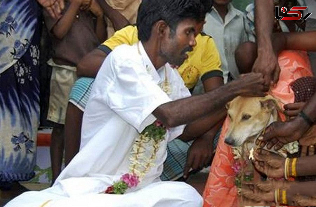 ازدواج با سگ تنها راه خوشبختی این مردان+عکس