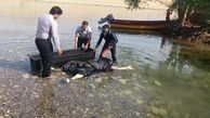 صبح امروز جسد دیگری در رودخانه دز پیدا شد+ عکس 