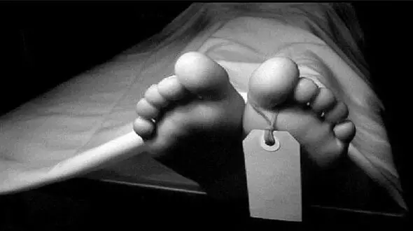 جزییات جدید از قتل شهردار منطقه 5 شیراز در خانه اش