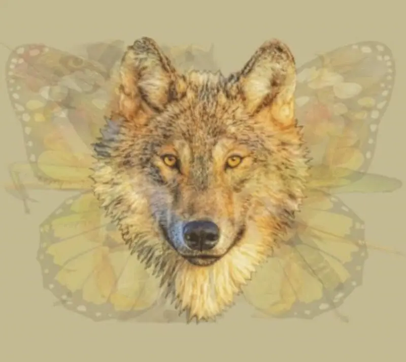 گرگ