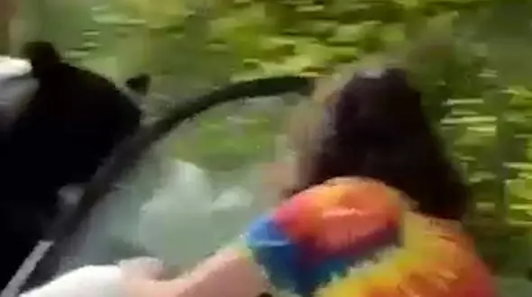 این خرس مالک خودرو را شوکه کرد + فیلم 