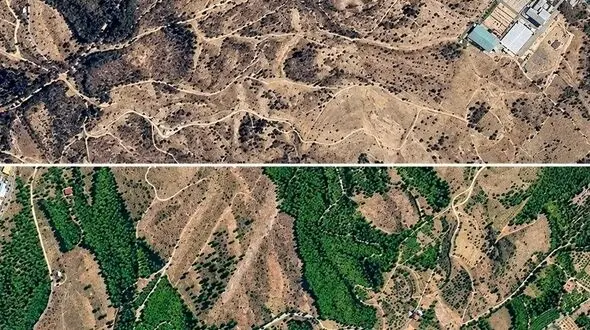بمباران انبار نفت درختان چیتگر را خشک کرده است؟

