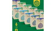 «درسنامه 12 جلدی امامت» دوره آموزشی می شود/مخاطبان تنها هنرمندان نیستند                                                                            