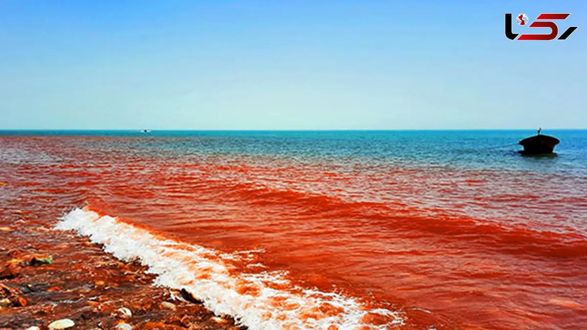 هرمز؛ تابلوی نقاشی زنده طبیعت + فیلم