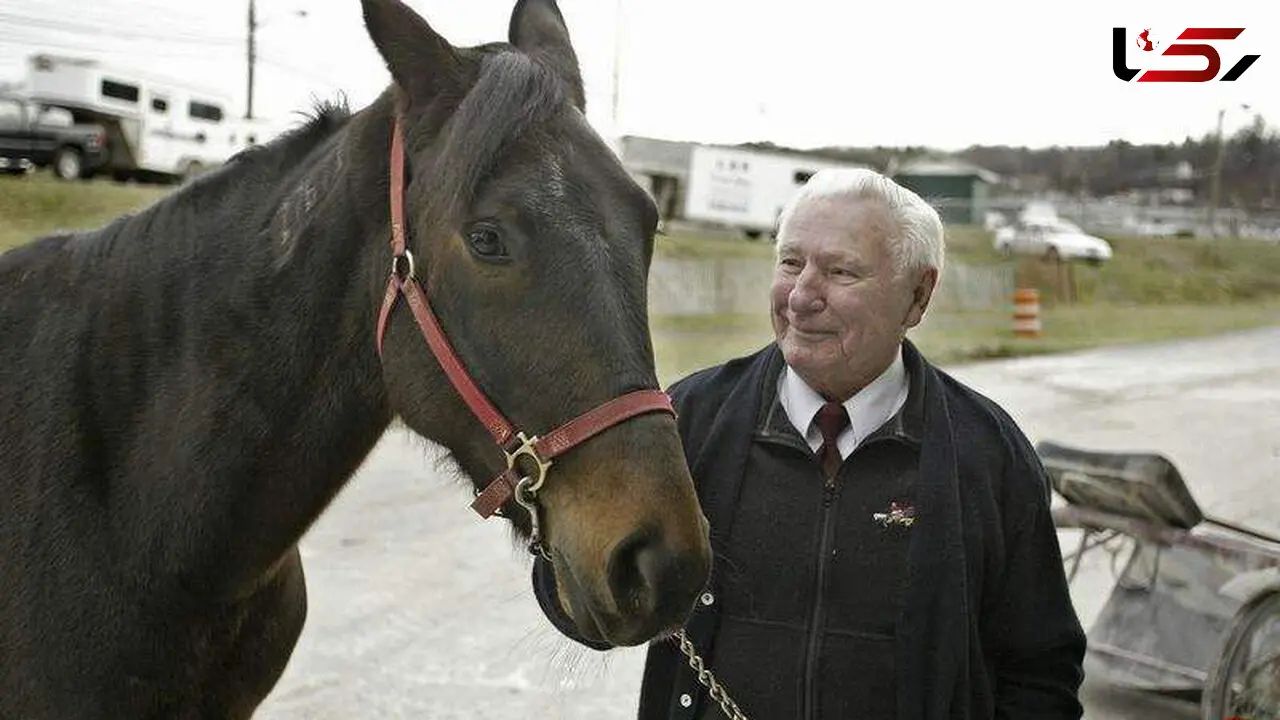 این اسب با لگد زدن به صاحب خود مرد نابینا را درمان کرد +عکس