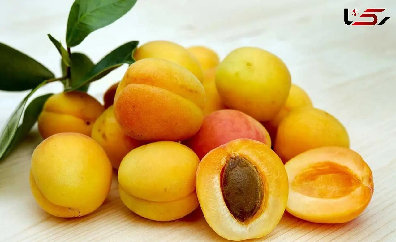 هسته این میوه ها مرگ آور است