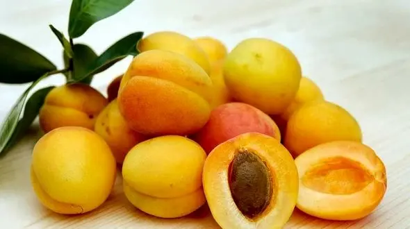 هسته این میوه ها مرگ آور است