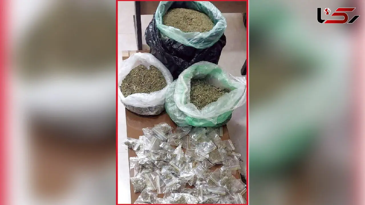 کامیونت حامل ۸۰ کیلویی مواد گل در مشهد متوقف شد / قاچاقچی سابقه‌دار باز هم به دام افتاد