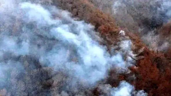 جزئیات عملیات اطفاء حریق در مناطق کوهستانی و جنگلی الیت