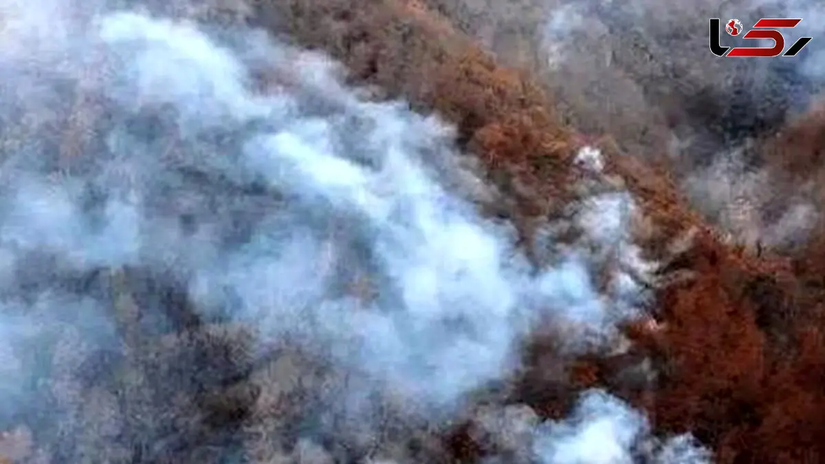 جزئیات عملیات اطفاء حریق در مناطق کوهستانی و جنگلی الیت