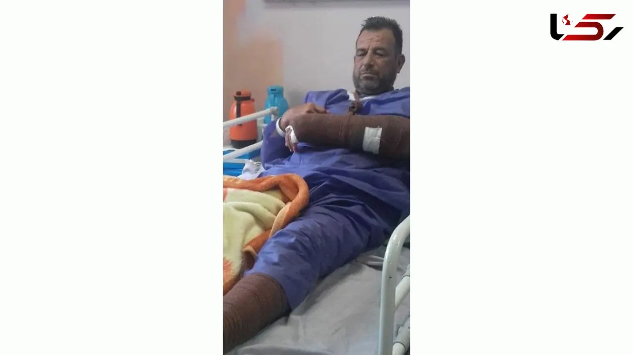 جنگلبان نیشابوری به دست قاچاقچی چوب مصدوم شد + عکس