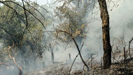 آتش‌سوزی باغ‌های "تنگ سِرِیز" بویراحمد مهار شد