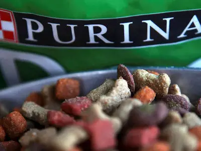 خطر غذای حیوانات خانگی با پایه ماهی برای گربه‌ ها و سگ‌ ها