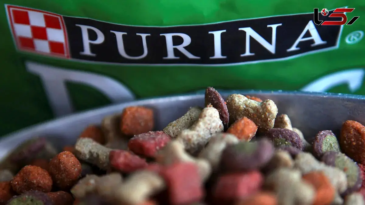 خطر غذای حیوانات خانگی با پایه ماهی برای گربه‌ ها و سگ‌ ها