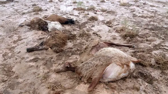 فیلم وحشتناک از سیل در "کلیبر" / سه نفر ناپدید شدند