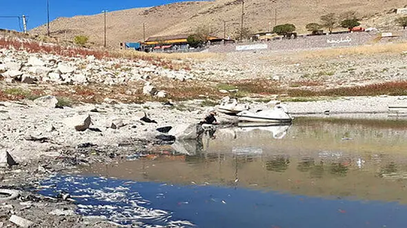 ماهیان سد گاوازنگ زنجان قربانی کم آبی شدند