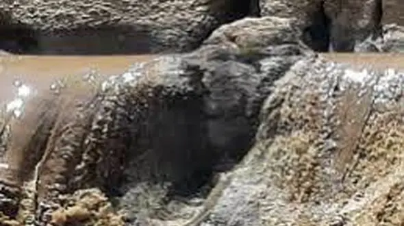 دلایل کدری آب شهرکرد چیست؟/ اساتید دانشگاه بررسی کردند 