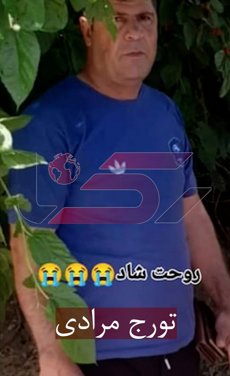 تورج مرادی