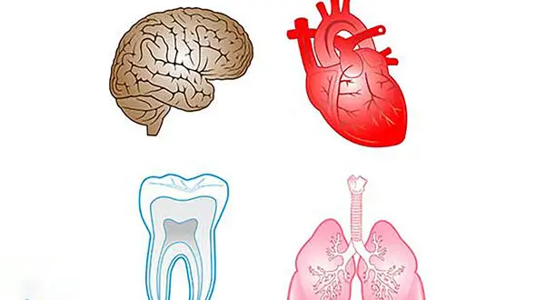 علل بیماری سیستمیک