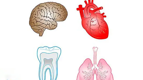 علل بیماری سیستمیک