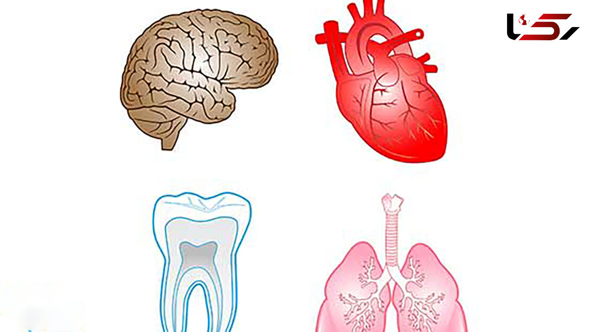 علل بیماری سیستمیک