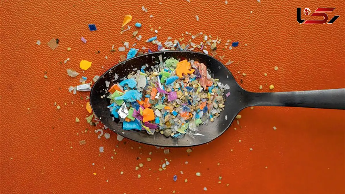 ریزپلاستیک ها باعث تشدید آلزایمر می شوند / راه های ورود کمتر ریزپلاستیک ها به بدن چیست؟