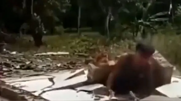 خودنمایی جوان رزمی کار در فضای مجازی به قیمت جانش تمام شد / دیوار روی سرش خراب شد + فیلم