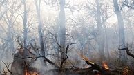 آتش در جنگل های توسکستان همچنان می تازد