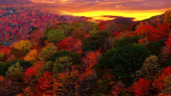  زمان به آرامی حرکت می کند از آن لذت ببر 