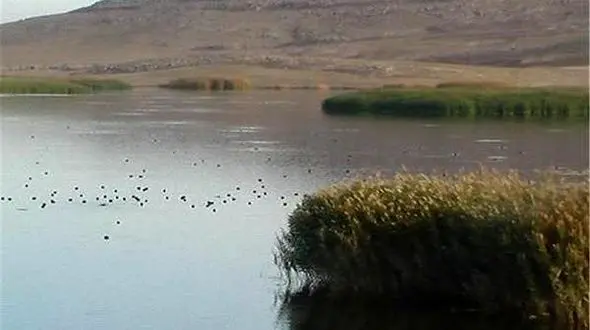 در حوزه محیط زیست، استان لرستان جزء پیشگامان است 