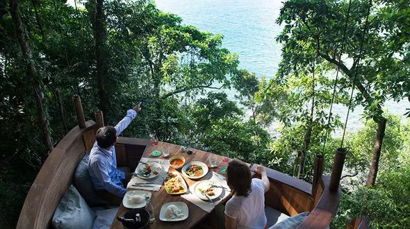 رستوران درختی اقامتگاهی برای ماجراجویان+عکس