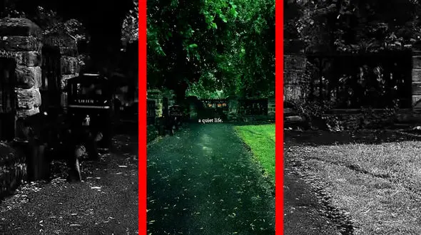 فیلم جذاب از آرامشِ باران در دلِ سبزترین لحظه‌ها