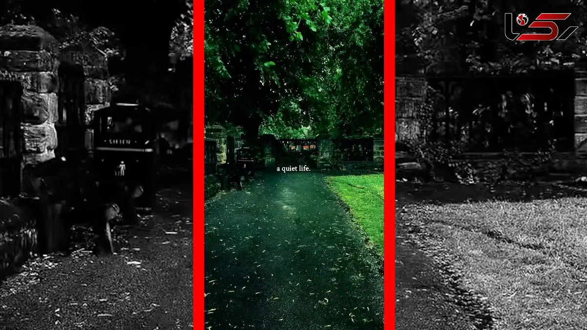 فیلم جذاب از آرامشِ باران در دلِ سبزترین لحظه‌ها