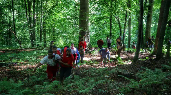 عملیات ویژه برای پیدا کردن زن و مرد گردشگر گمشده در جنگل رنگو گرگان + جزییات