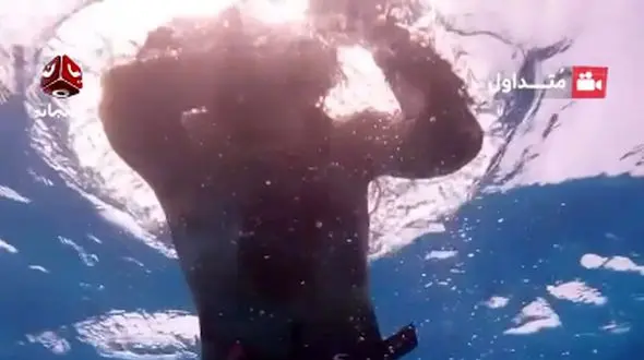 داستان تکان‌ دهنده؛ هشت‌ پای آبی، غواص را طعمه خشم خود کرد + فیلم