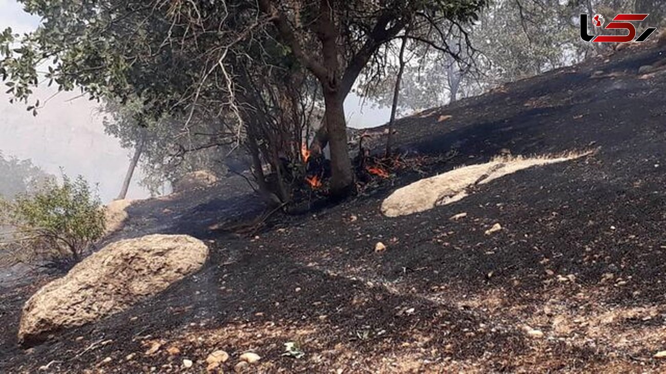 آتش سوزی بیش از ۱۰۰هکتار از جنگلهای منطقه حفاظت شده دنا  + عکس