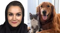 قاتلان ریز تابستانی در کمین سگ و گربه‌ها؛ دکتر پگاه محبی از هجوم کک و کنه و بیماری‌های خطرناک آن‌ها می‌گوید