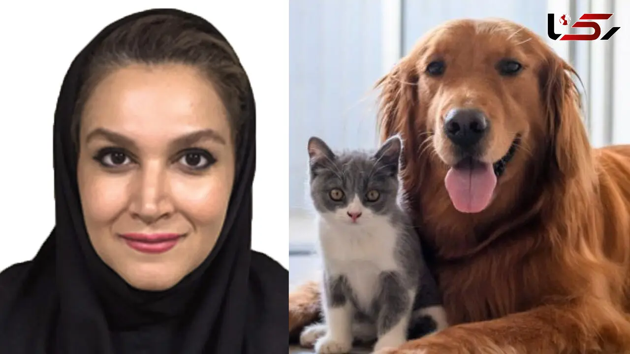 قاتلان ریز تابستانی در کمین سگ و گربه‌ها؛ دکتر پگاه محبی از هجوم کک و کنه و بیماری‌های خطرناک آن‌ها می‌گوید