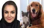 قاتلان ریز تابستانی در کمین سگ و گربه‌ها؛ دکتر پگاه محبی از هجوم کک و کنه و بیماری‌های خطرناک آن‌ها می‌گوید