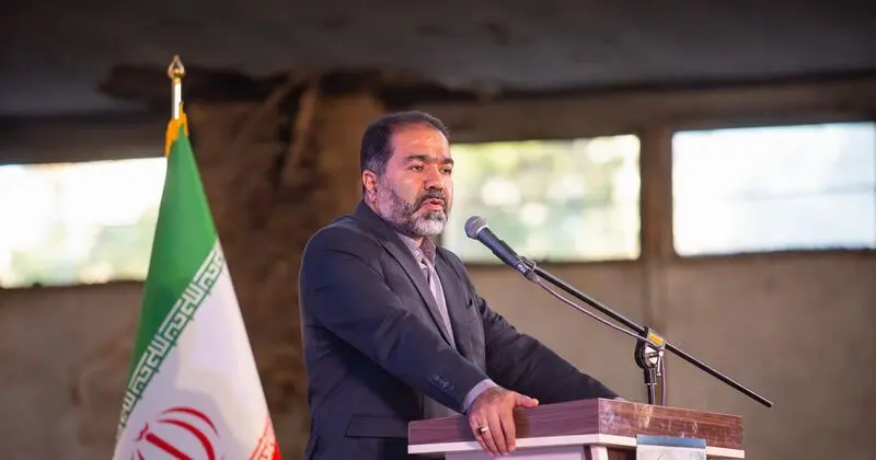 ریسباف استاندار