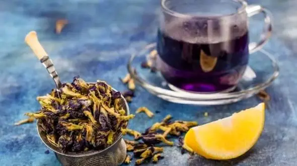 فواید علمی گل گاوزبان برای مراقبت از پوست و مو