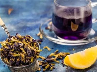 فواید علمی گل گاوزبان برای مراقبت از پوست و مو