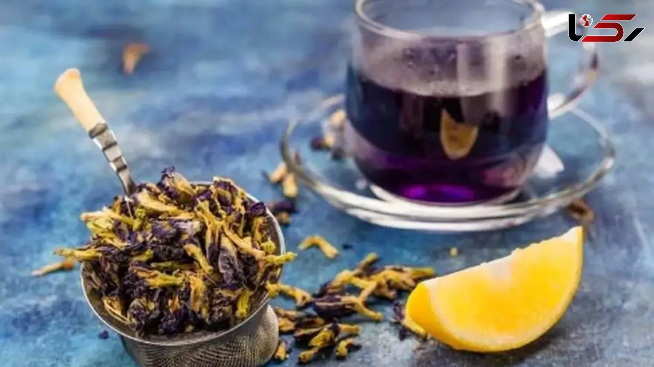 فواید علمی گل گاوزبان برای مراقبت از پوست و مو