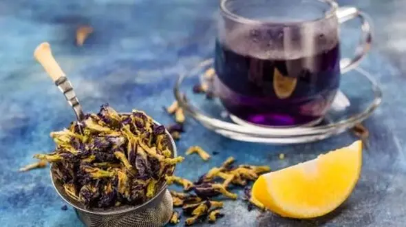 فواید علمی گل گاوزبان برای مراقبت از پوست و مو