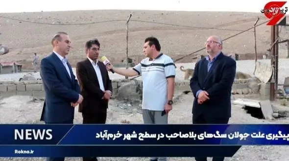 شهردار خرم‌آباد: دامپزشکی به وظیفه خود در بحث عقیم‌سازی عمل نمی‌کند/ معاونت دامپزشکی: وظیفه‌ای نداریم!+ فیلم و جزئیات 