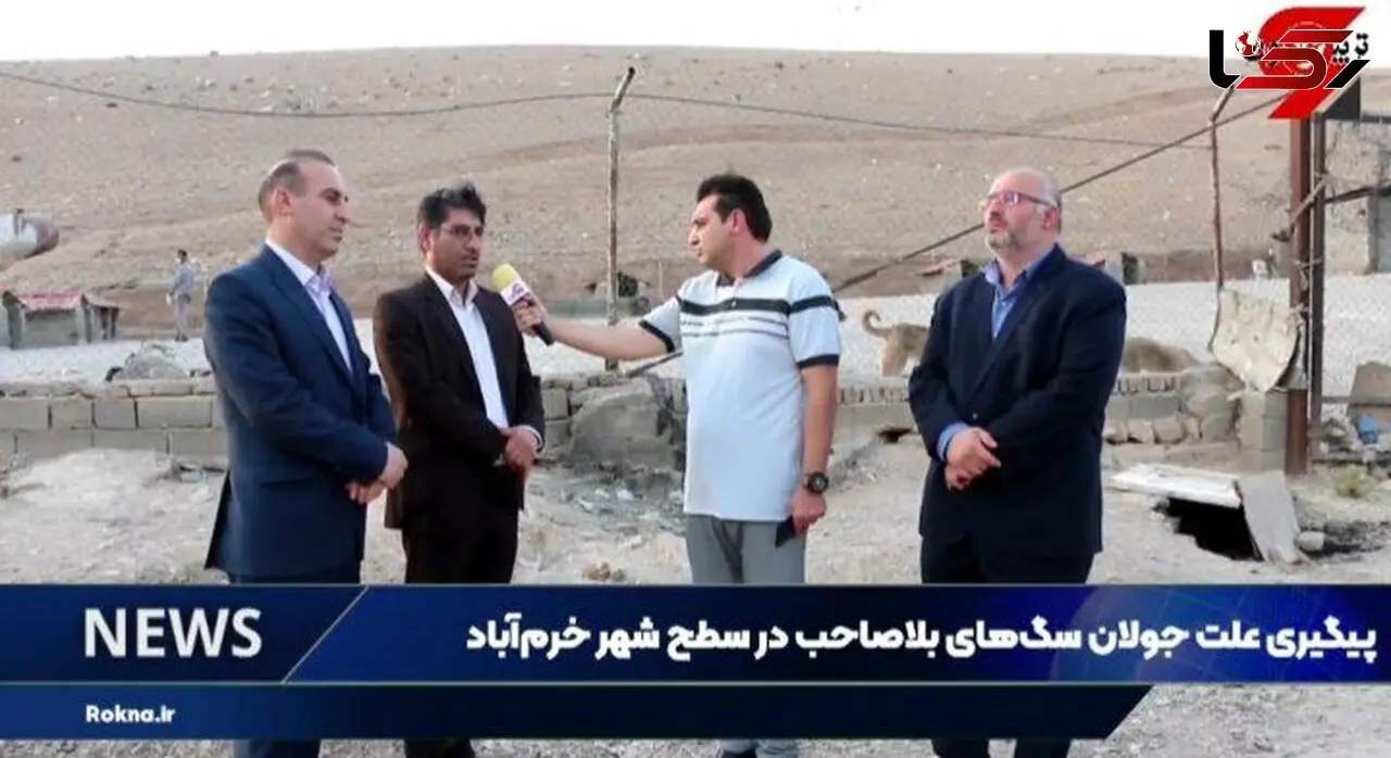 شهردار خرم‌آباد: دامپزشکی به وظیفه خود در بحث عقیم‌سازی عمل نمی‌کند/ معاونت دامپزشکی: وظیفه‌ای نداریم!+ فیلم و جزئیات 