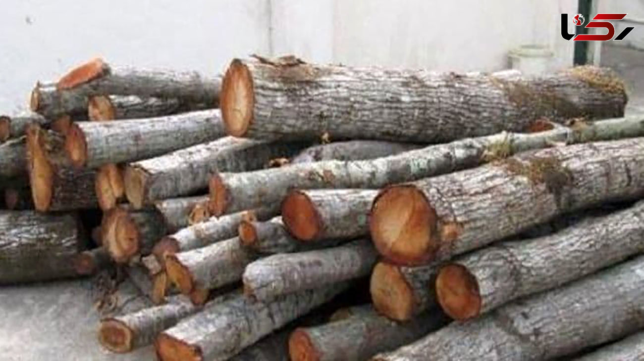 توقیف 30 تن چوب قاچاق در مهاباد