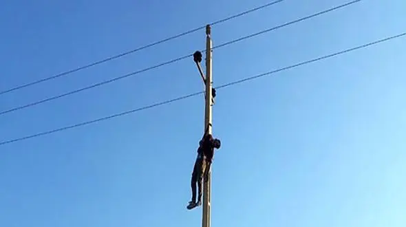 این دزد همیشه آویزان بود !