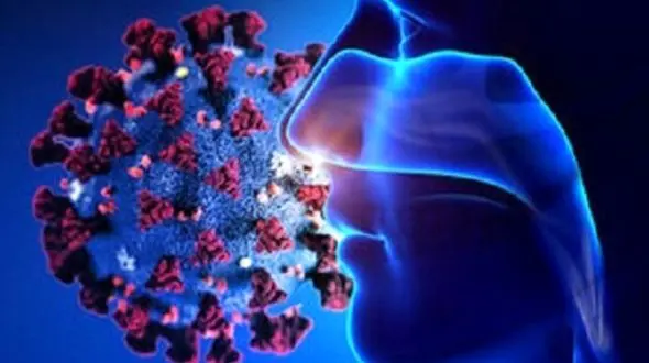 چرا کرونا حس بویایی ما را تحت تاثیر قرار داده است؟