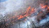آتش سوزی در منطقه حفاظت شده نئور اردبیل مهار شد